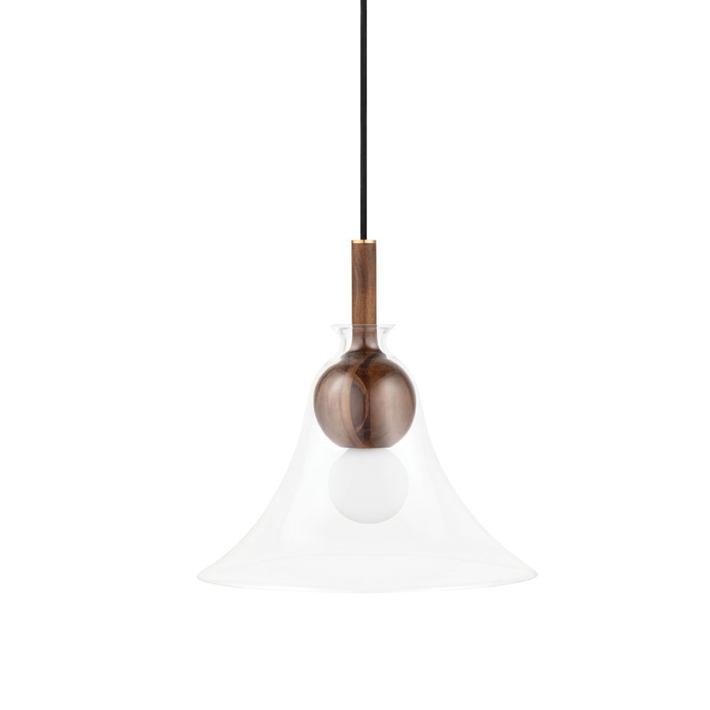 Mitzi by Hudson Valley Lighting H380701C-AGB Dani 1 Light Pendant in Aged Brass with Clear Shade