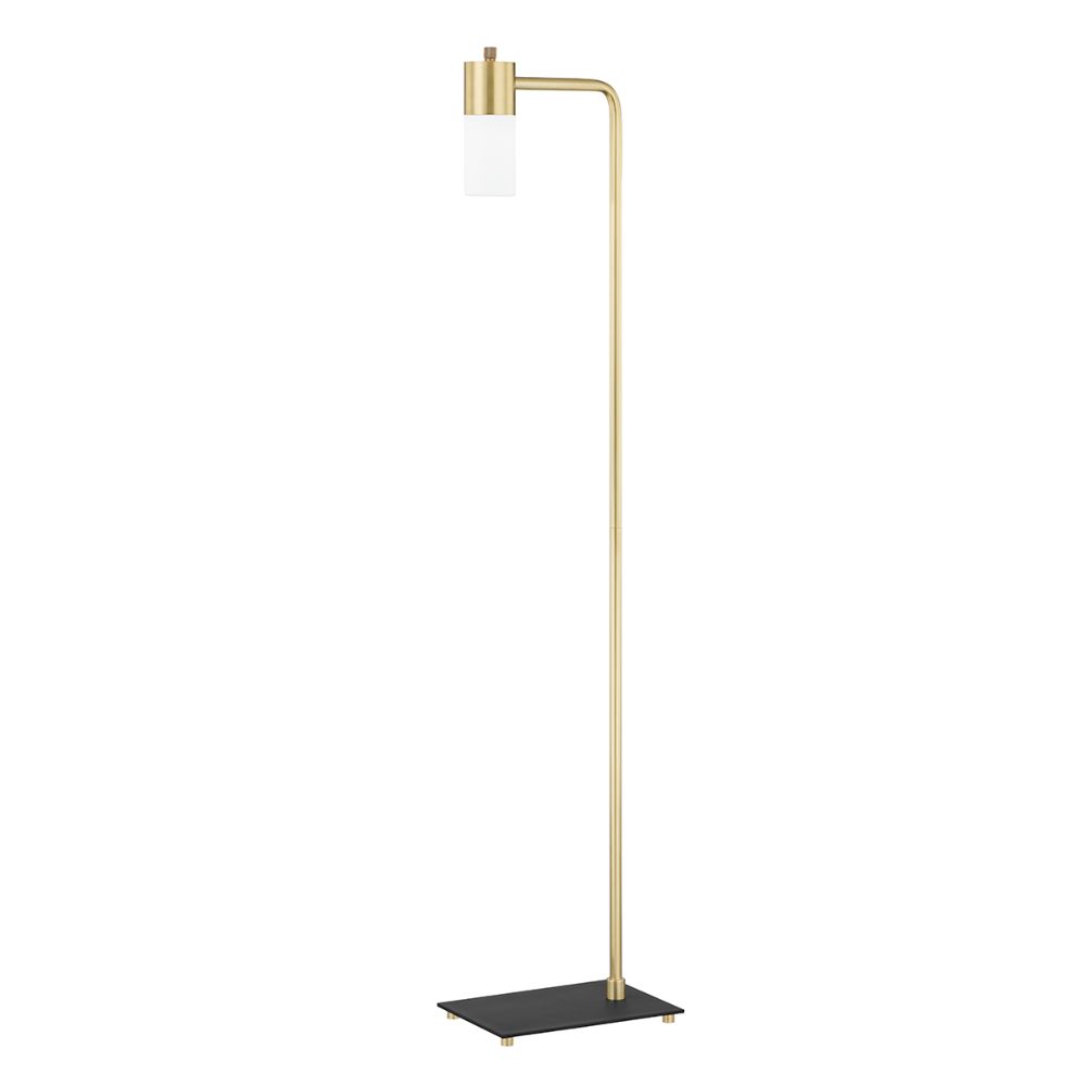 Mitzi By Hudson Valley HL461401-AGB 1 Light Floor Lamp in Aged brass