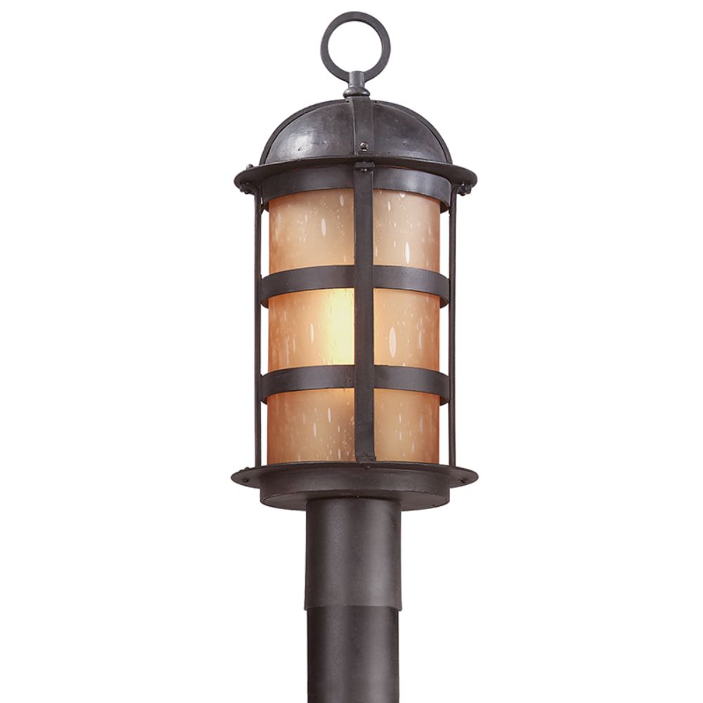 Troy Lighting P9252NB Aspen 1 Light Large Post Lantern in Natural Bronze