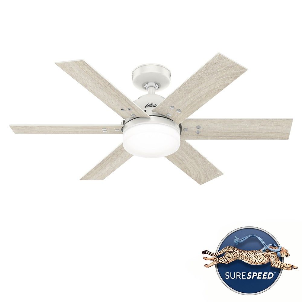 Hunter 51206 Pacer With LED Light 44 Inch Ceiling Fan in Indigo Blue