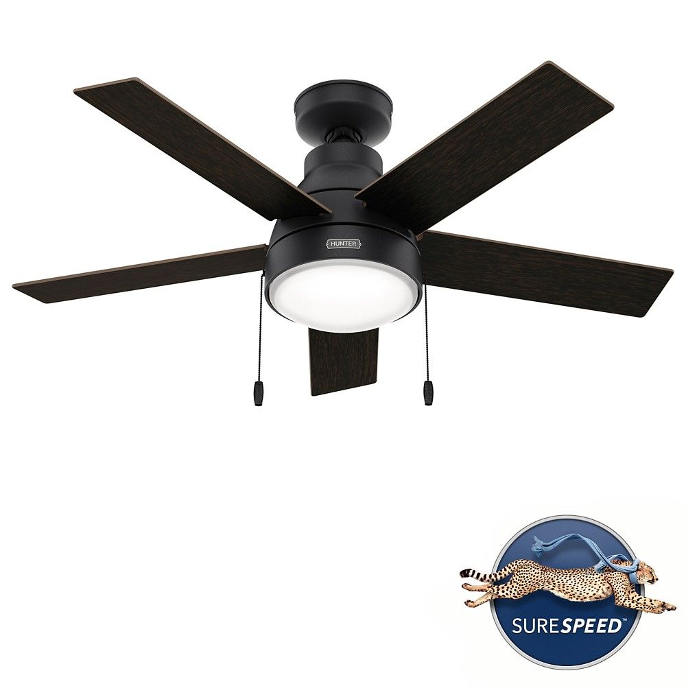 Hunter 51445 Elliston With LED Light 44 Inch Ceiling Fan in Natural Iron