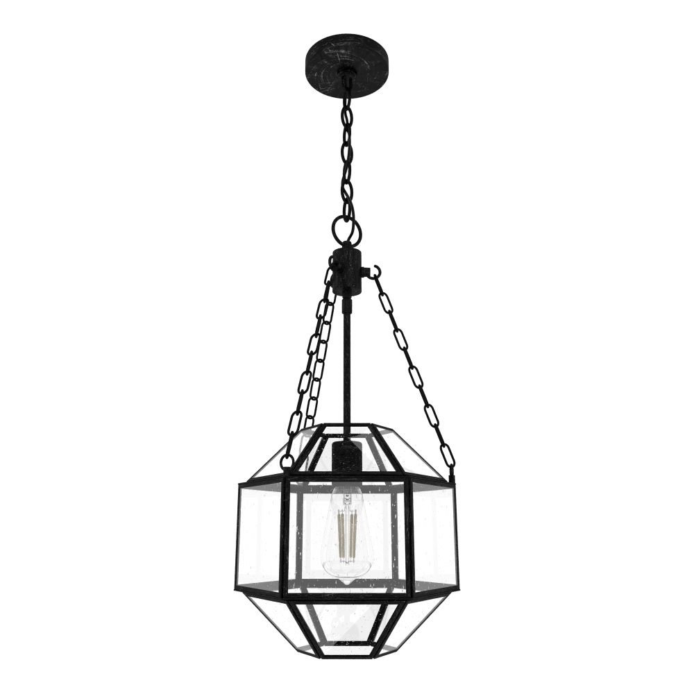 Hunter Fans 19363 Indria 1 Light Pendant 11 inch in Rustic Iron