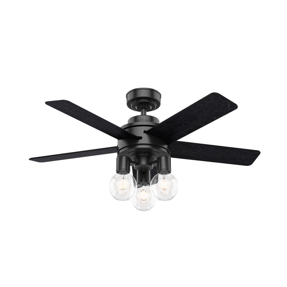 Hunter Fans 50593 Hardwick with LED Light 44 inch Ceiling Fan in Matte Black