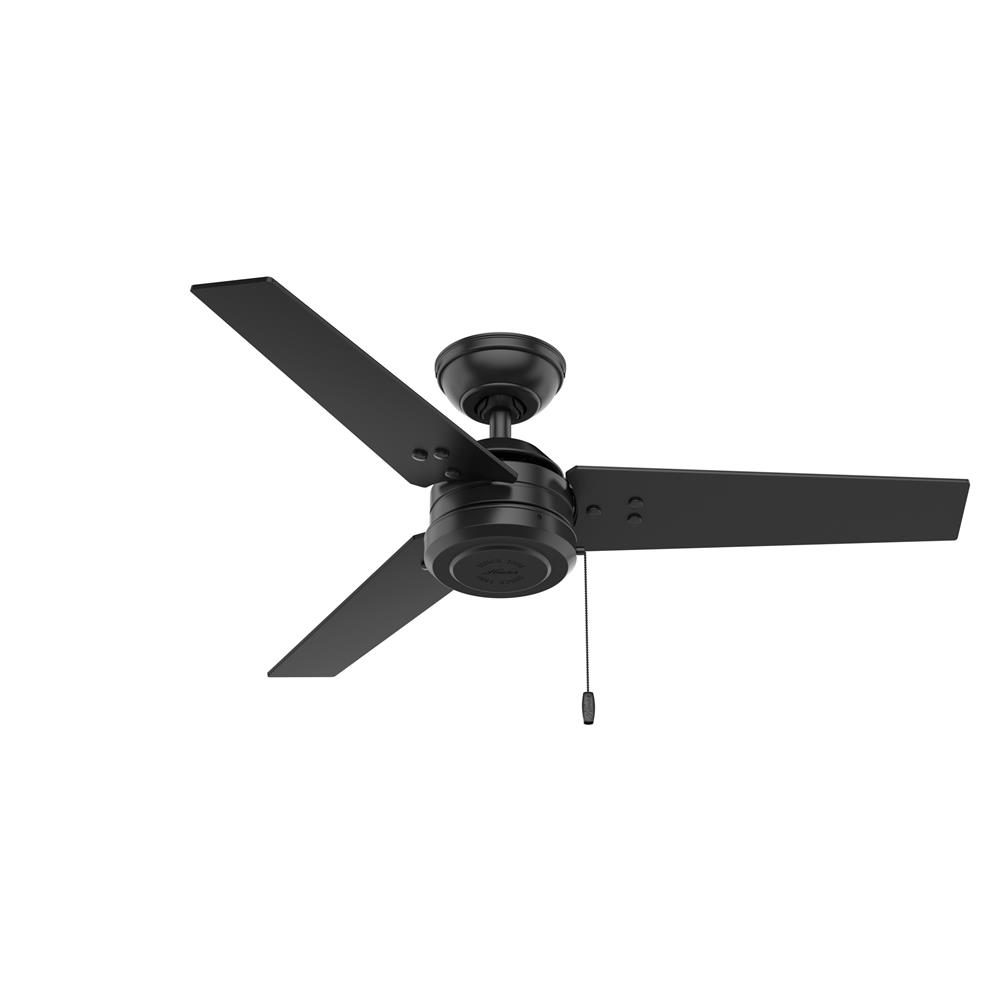 Hunter Fans 50260 Cassius Outdoor 44 inch Cailing Fan in Matte Black