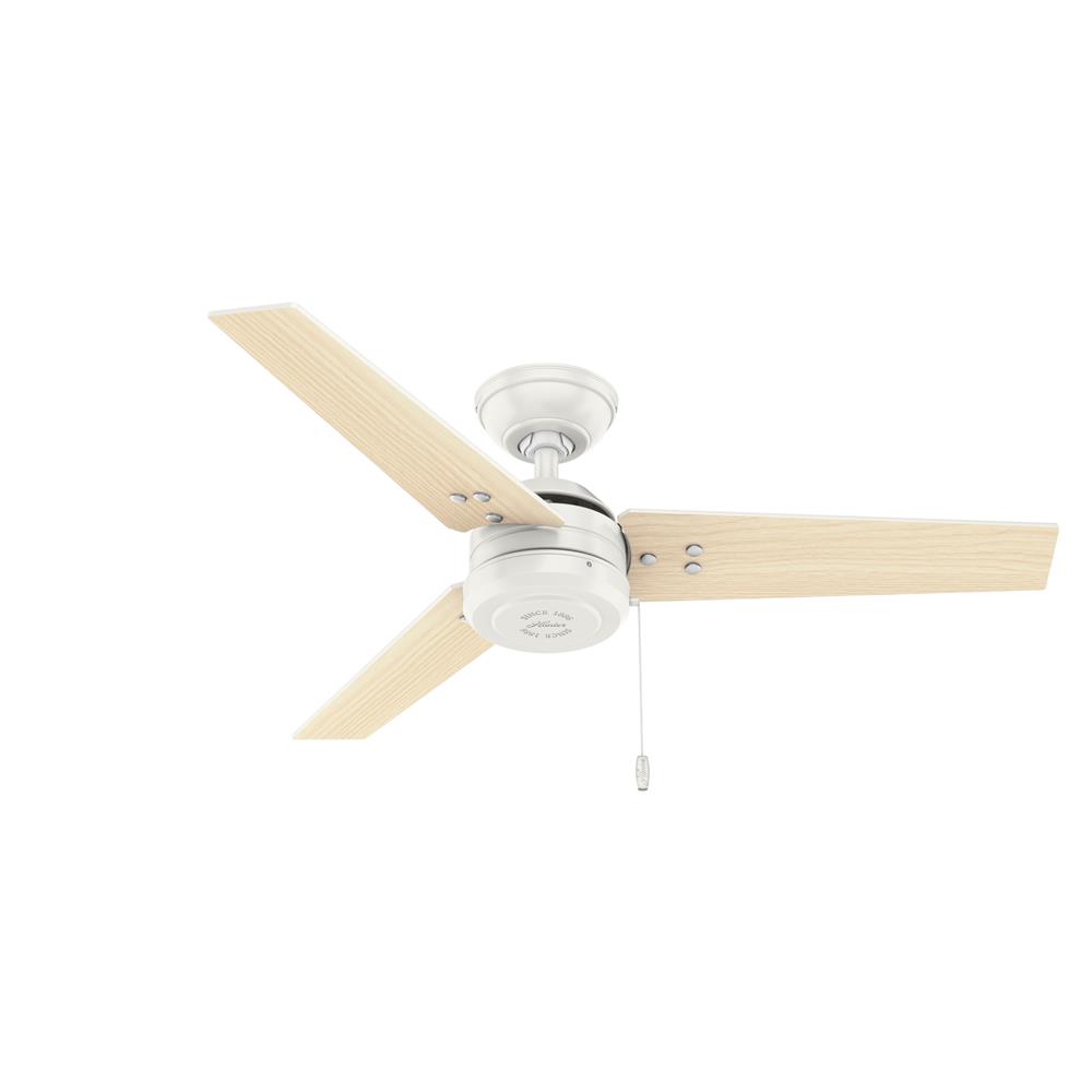 Hunter Fans 50262 Cassius Outdoor 44 inch Cailing Fan in Fresh White
