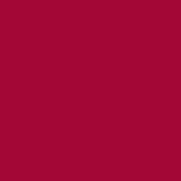 JF Fabric 6029 45W7251 Wallcovering in Burgundy,Red