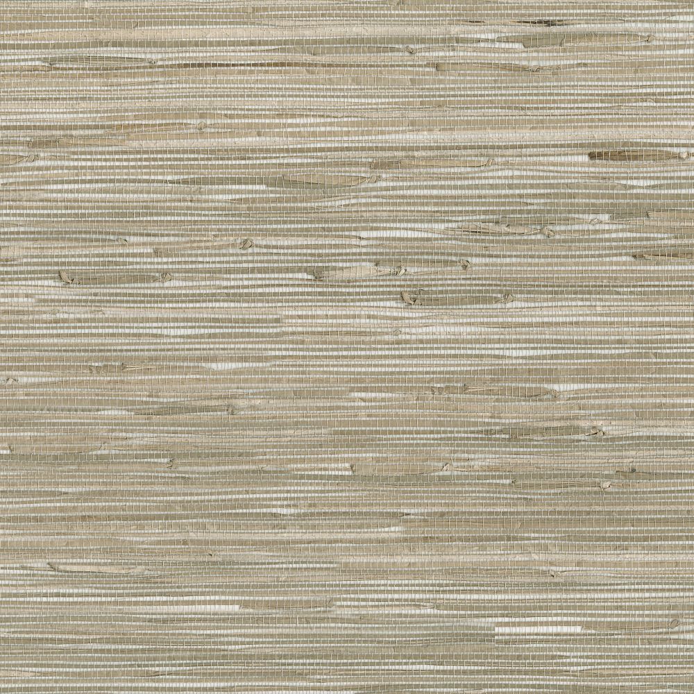 JF Fabrics 9026 34WS121  Wallcovering in Brown,Creme,Beige