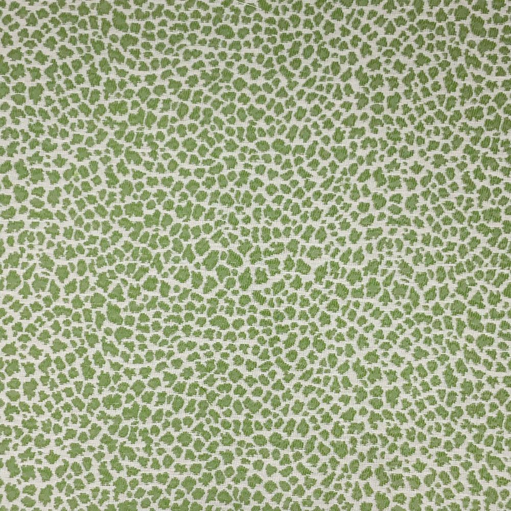 JF Fabrics MOXIE 74J9411 Fabric in Green/ White