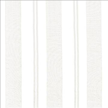 Kasmir Fabrics Faultline White Fabric 