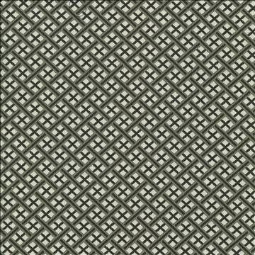Kasmir Fabrics Pinebrook Graphite Fabric 