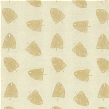Kasmir Fabrics Windblown Ivory Fabric 