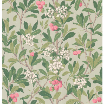 Cole & Son 100/10048.CS.0 Strawberry Tree Wallcovering in Pink & Duck Egg