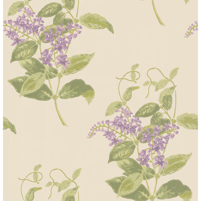 Cole & Son 100/12056.CS.0 Madras Violet Wallcovering in Olive & Lavender