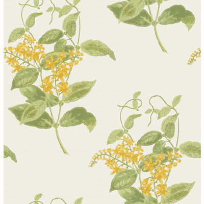 Cole & Son 100/12059.CS.0 Madras Violet Wallcovering in Yellow