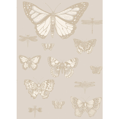 Cole & Son 103/15064.CS.0 Butterflies & Dragonflies Wallcovering in Grey