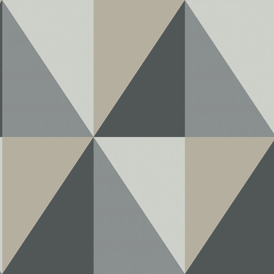 Cole & Son 105/10043.CS.0 Apex Grand Wallcovering in Grey And Black