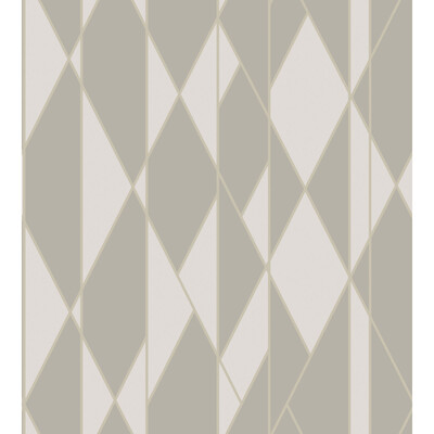 Cole & Son 105/11046.CS.0 Oblique Wallcovering in Grey And White