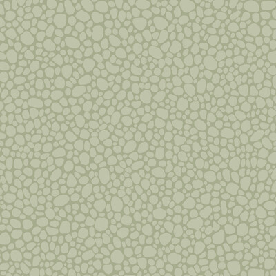 Cole & Son 106/2027.CS.0 Pebble Wallcovering in Sage