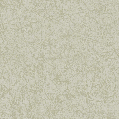 Cole & Son 106/4058.CS.0 Cordovan Wallcovering in Old Olive/Olive Green