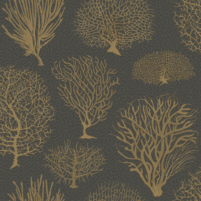 Cole & Son 107/2006.CS.0 Seafern Wallcovering in Black & Gold/Black/Gold