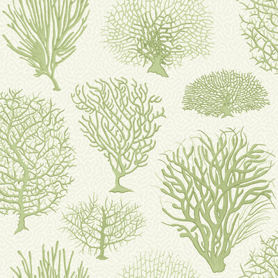 Cole & Son 107/2008.CS.0 Seafern Wallcovering in Soft Green/Celery/Light Green