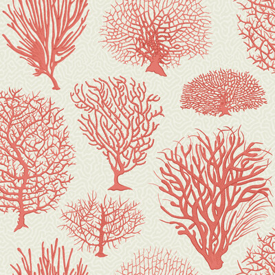 Cole & Son 107/2011.CS.0 Seafern Wallcovering in Coral/Orange