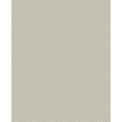 Cole & Son 107/4019.CS.0 Vermicelli Wallcovering in Stone/Metallic/Taupe/Beige