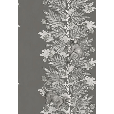 Cole & Son 109/11055.CS.0 Acacia Wallcovering in Charcoal & Silver/Charcoal/Silver