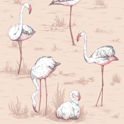 Cole & Son 112/11039.CS.0 Flamingos Wallcovering in Plaster Pink/Multi/Pink/Coral