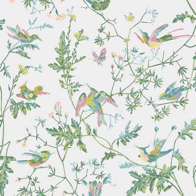 Cole & Son 112/4015.CS.0 Hummingbirds Wallcovering in Green/pink/Multi/Green/Pink