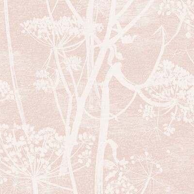 Cole & Son 112/8028.CS.0 Cow Parsley Wallcovering in Plaster Pink/Pink