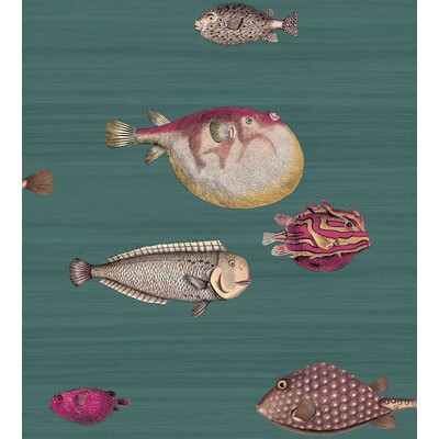 Cole & Son 114/12024.CS.0 Acquario Wallcovering in Viridian/Multi/Teal
