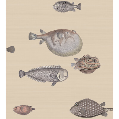 Cole & Son 114/16033.CS.0 Acquario Wallcovering in Taupe/Neutral/Beige