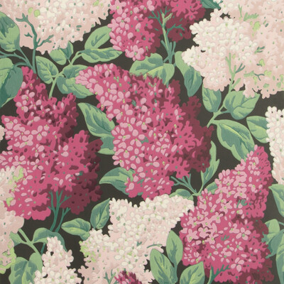 Cole & Son 115/1001.CS.0 Lilac Wallcovering in Magenta/blush/charco/Multi/Pink/Black