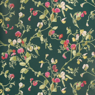 Cole & Son 115/11033.CS.0 Sweet Pea Wallcovering in Cerise/magen/vrdn/Multi/Green/Red