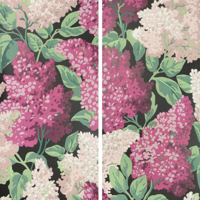 Cole & Son 115/15045.CS.0 Lilac Grandiflora Wallcovering in M/b/c/Multi/Pink/Black