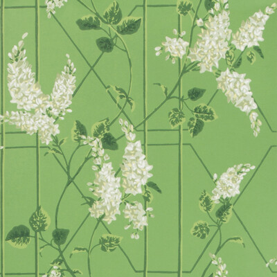 Cole & Son 115/5016.CS.0 Wisteria Wallcovering in Sage/leaf Green/Green