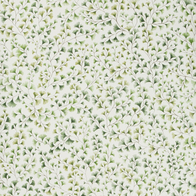 Cole & Son 115/6018.CS.0 Maidenhair Wallcovering in Olive/Green/Sage/Olive Green