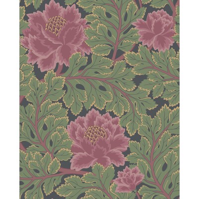 Cole & Son 116/1002.CS.0 Aurora Wallcovering in Rose/forest/char/Multi/Pink/Black