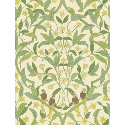 Cole & Son 117/10031.CS.0 Jasmine & Serin Symphony Wallcovering in Chartreuse/grn/wt/Olive Green/Chartreuse/Beige
