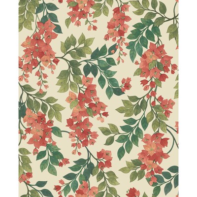 Cole & Son 117/6016.CS.0 Bougainvillea Wallcovering in Rouge/olive Grn/emerald/crm/Red/Green/Multi