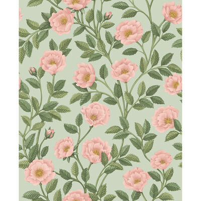 Cole & Son 118/7014.CS.0 Hampton Roses Wallcovering in Multi/Pink/Green