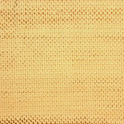 Lee Jofa 2003193.16.0 Leith Checkers Upholstery Fabric in Bisque/Beige