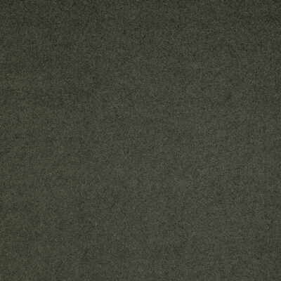Lee Jofa 2006229.3030.0 Flannelsuede Upholstery Fabric in Quarry/Black/Green
