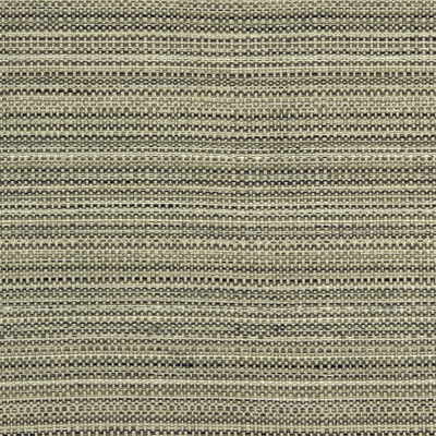 Lee Jofa 2008107.8.0 Gibraltar Silk Upholstery Fabric in Greige/Black/Grey/White