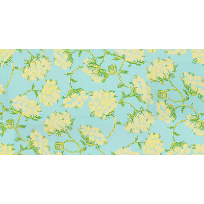 Lee Jofa 2011102.53.0 Racy Lacey Multipurpose Fabric in Skye Blue/Light Blue/Yellow/Green