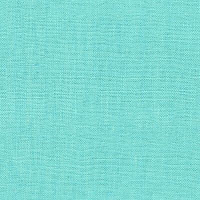 Lee Jofa 2011117.15.0 Rip Roaring Upholstery Fabric in Sky Blue/Light Blue