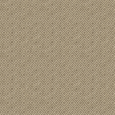 Lee Jofa 2012127.10.0 Phoenicia Upholstery Fabric in Orchid/Beige/Purple