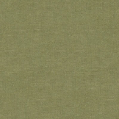 Lee Jofa 2012175.23.0 Dublin Linen Multipurpose Fabric in Lichen/Green