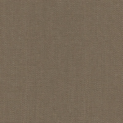 Lee Jofa 2012176.1616.0 Watermill Linen Multipurpose Fabric in Tea/Beige
